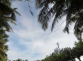 假日海滩有足球场吗，假日海滩旅游景区