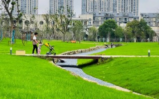 沣东足球公园属于哪，沣东足球公园属于哪个街道