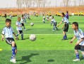 足球是养生球吗为什么，足球是养生球吗为什么不能用